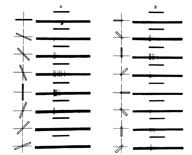 与fig.2同一神经元。A. 对1度x8度长方形光束的反应；光束中点与RF中点重合；光束顺时针旋转。B. 对不同方位的1度x5度光束的反应；光束的一端始终覆盖RF中央。